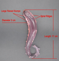 Borosilicate Glass Tentacle Massage Wand